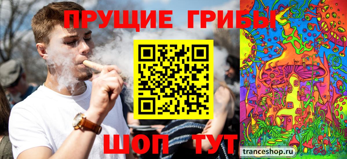Горно-Алтайск  Галлюциногенные грибы ЛСД  Вход с VPN 
