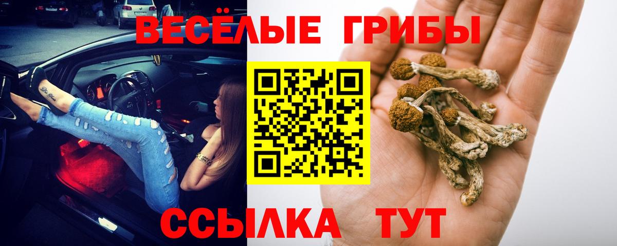 Псилоцибиновые грибы ЛСД Горно-Алтайск