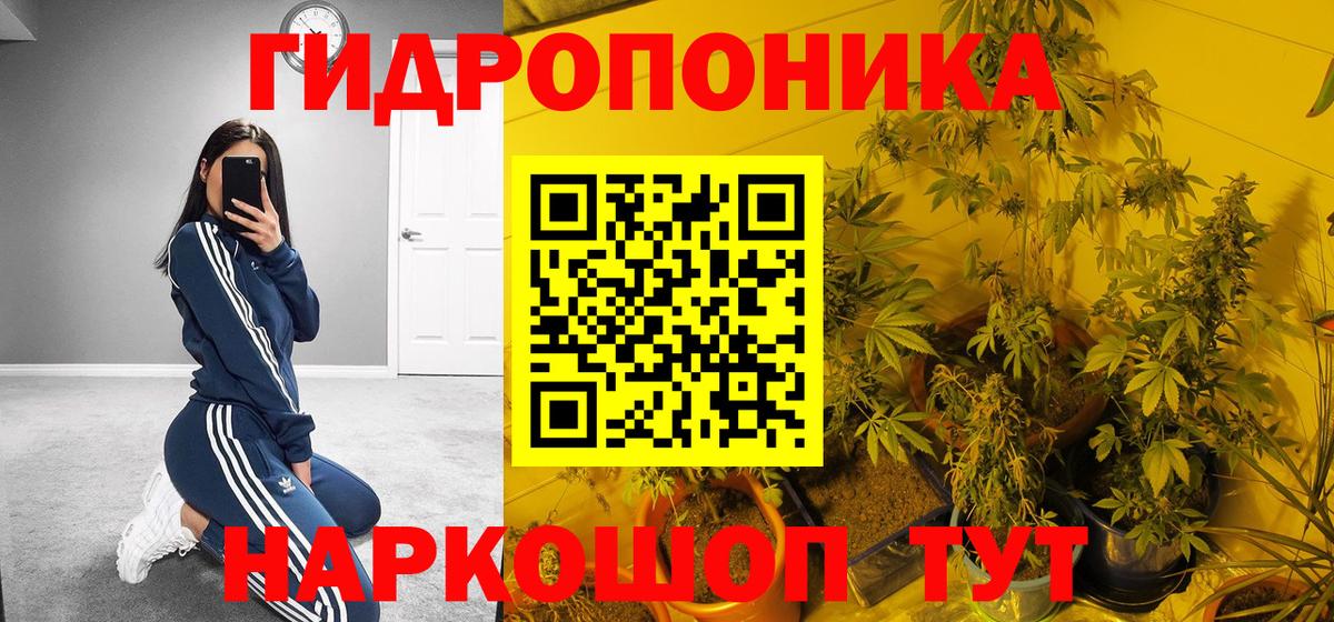 Бошки марихуана Bruce Banner  Вход с VPN  Горно-Алтайск  Бошки марихуана Ganja 